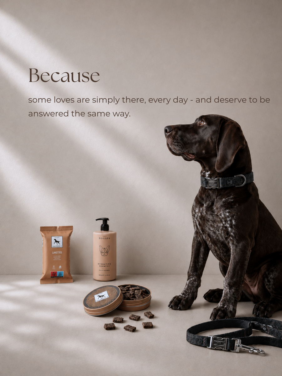 For Companions