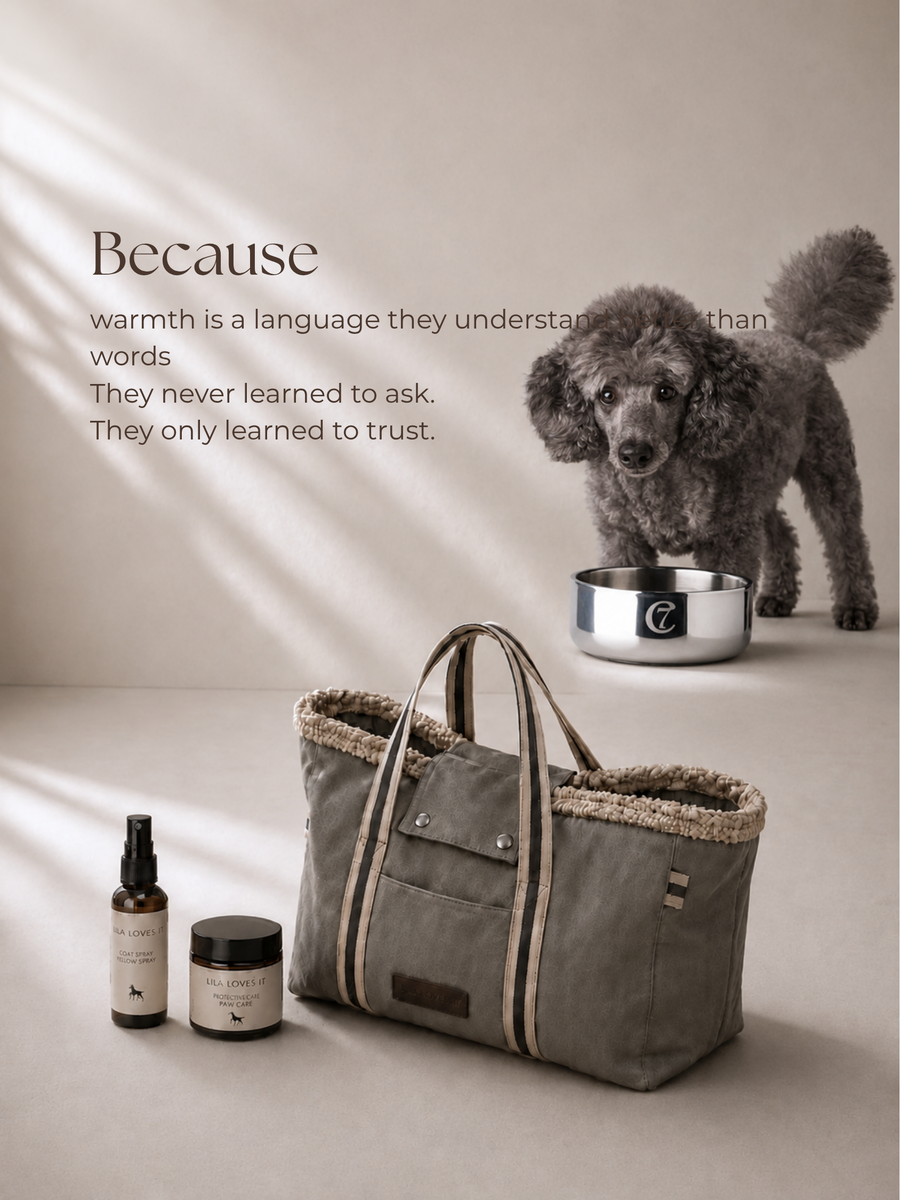 For Companions
