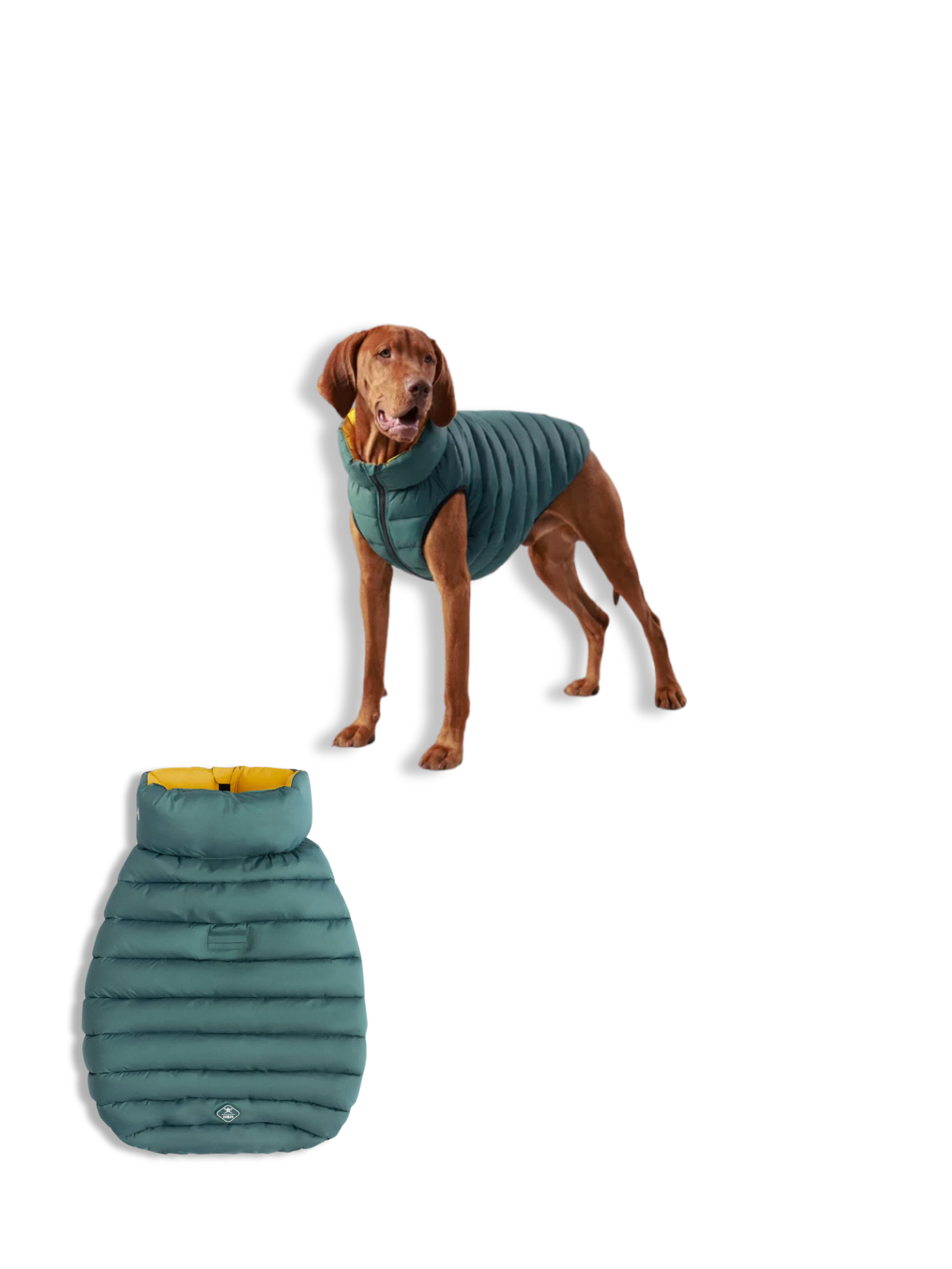 For Companions — No. 05