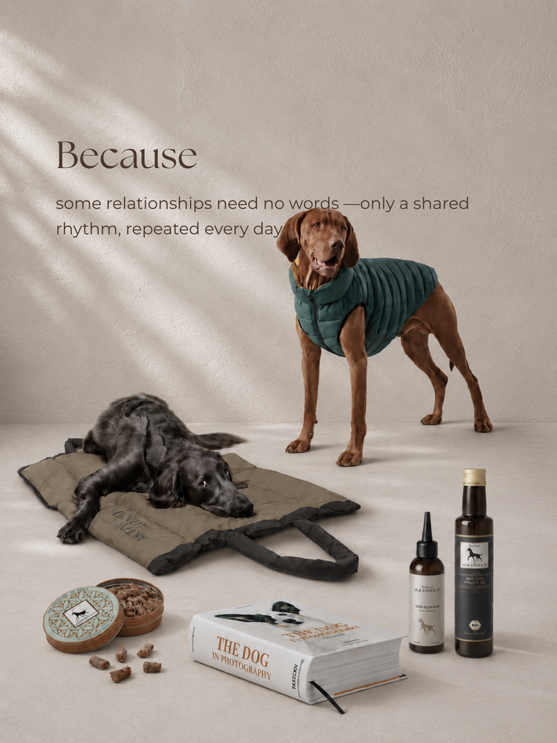 For Companions