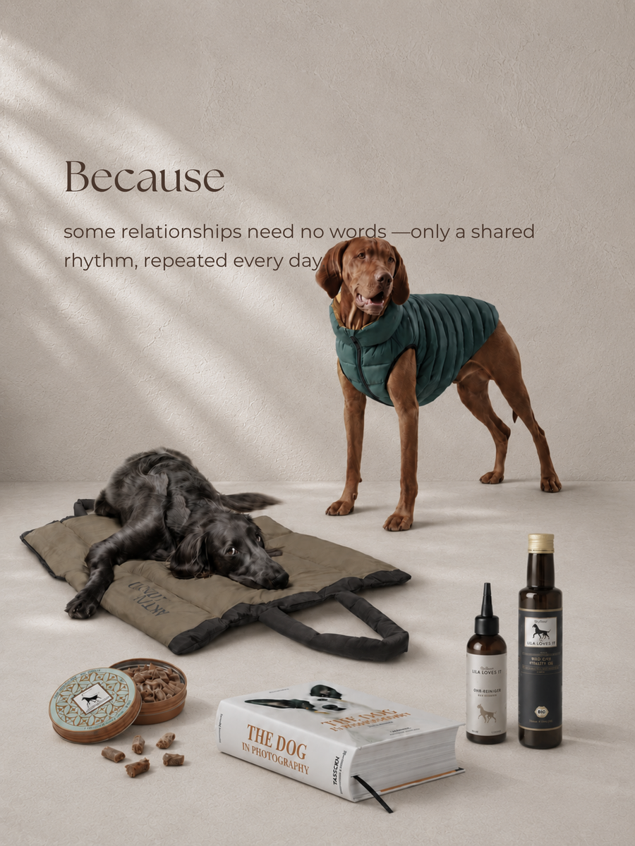 For Companions