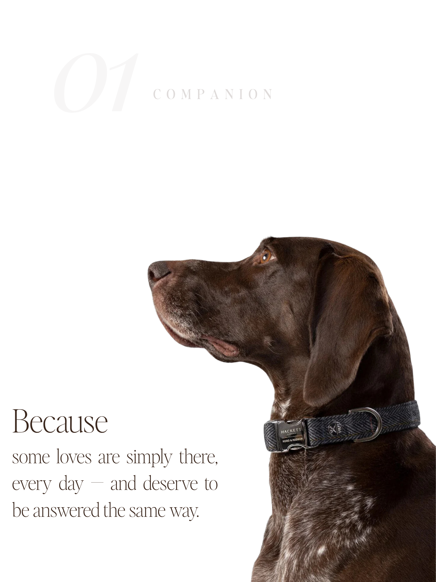 For Companions — No. 01