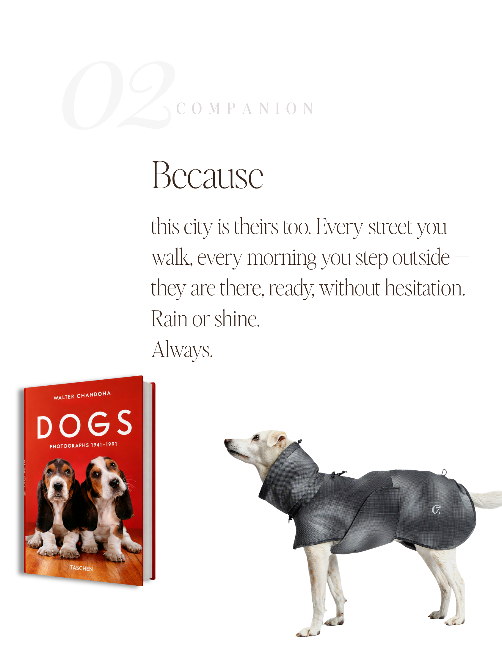For Companions — No. 02
