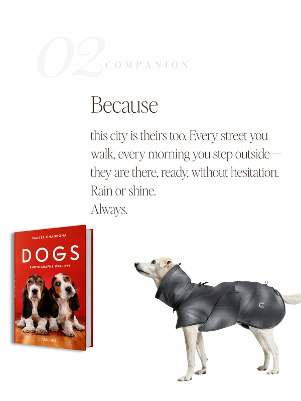 For Companions — No. 02