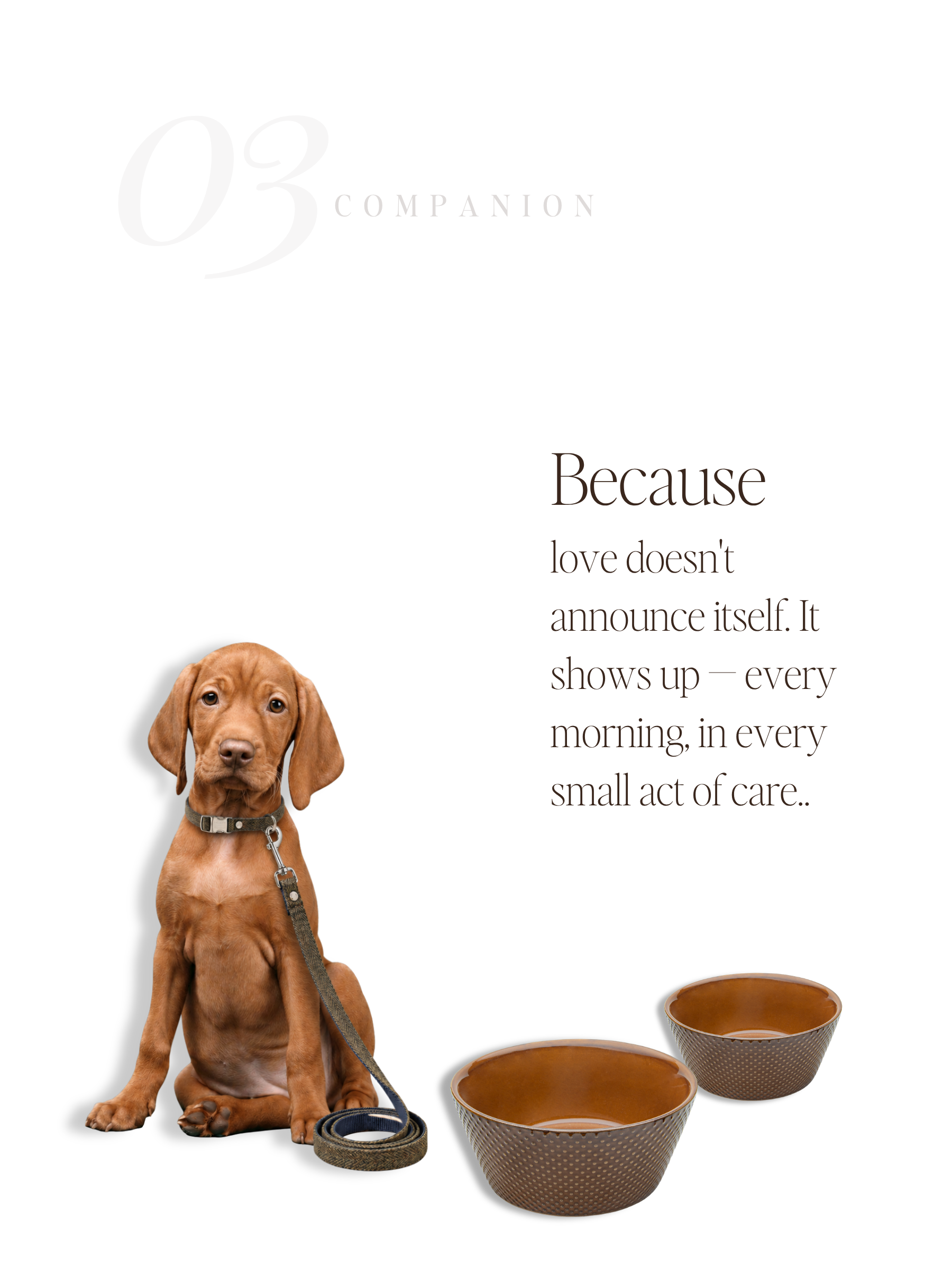For Companions — No. 03