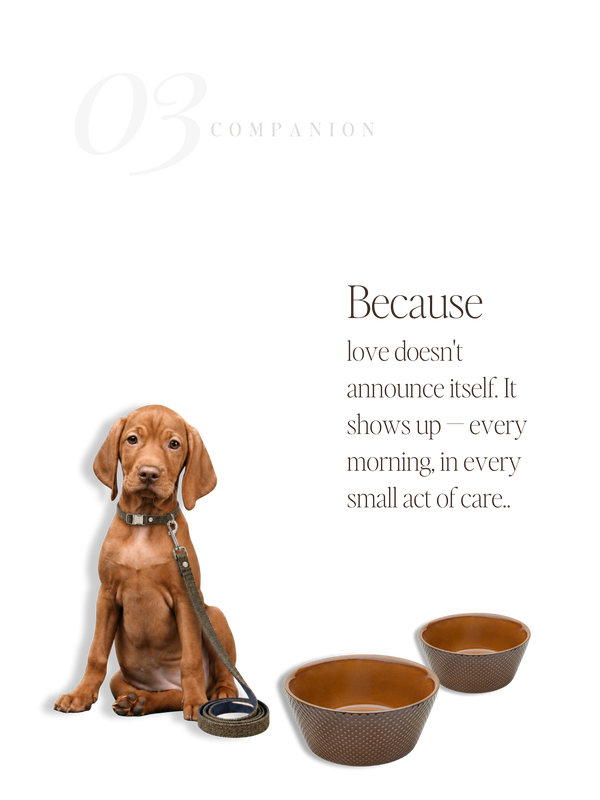 For Companions — No. 03