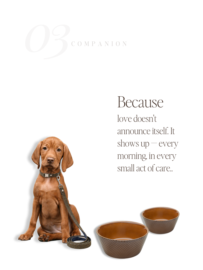For Companions — No. 03