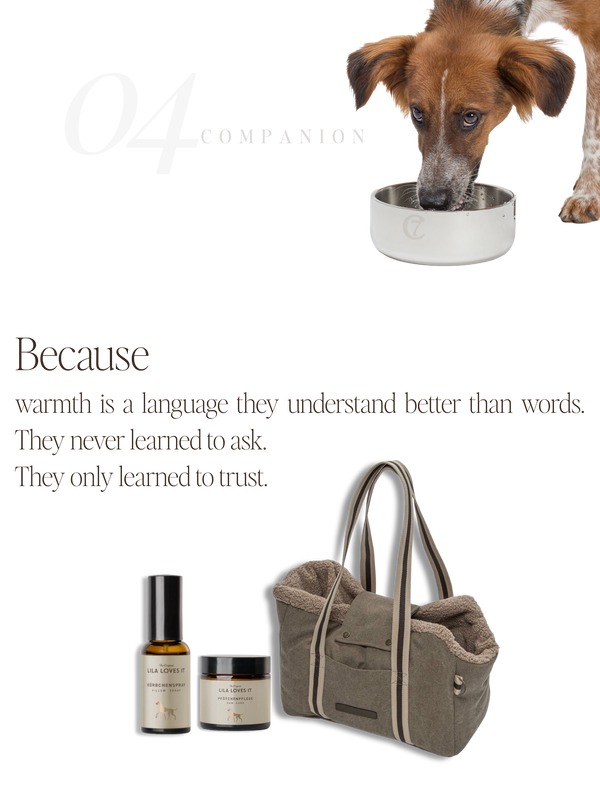 For Companions — No. 04