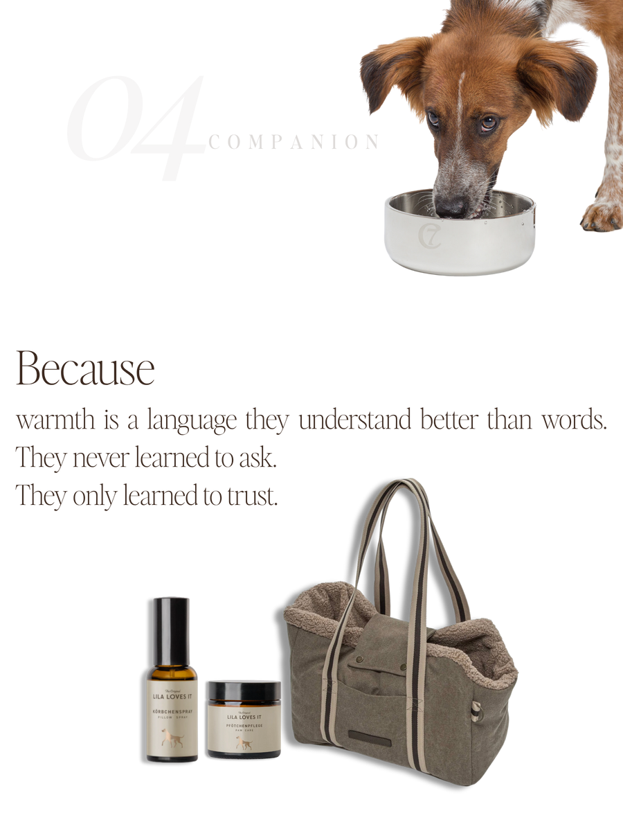 For Companions — No. 04
