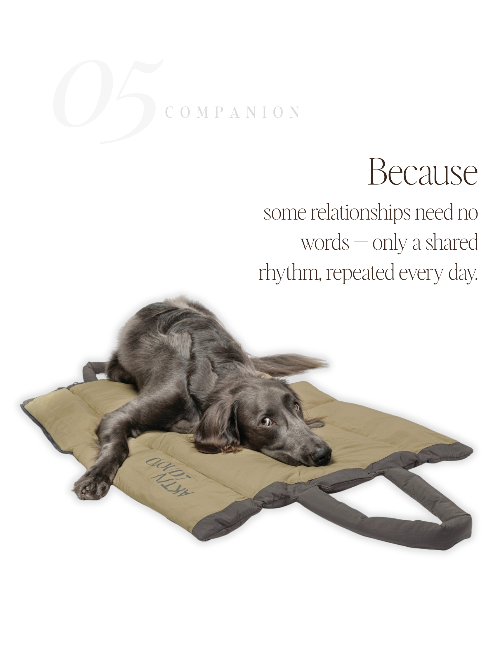 For Companions — No. 05