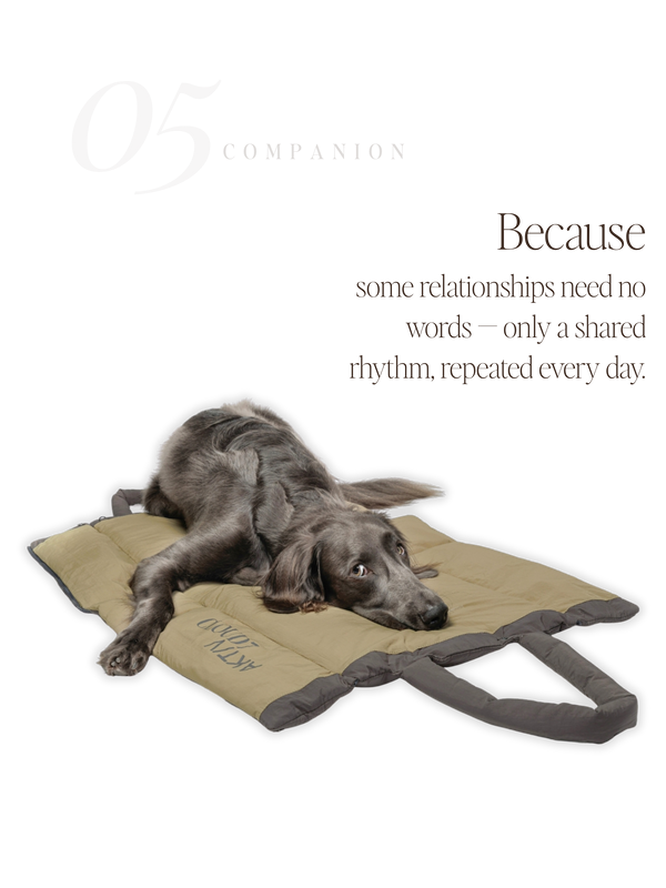 For Companions — No. 05