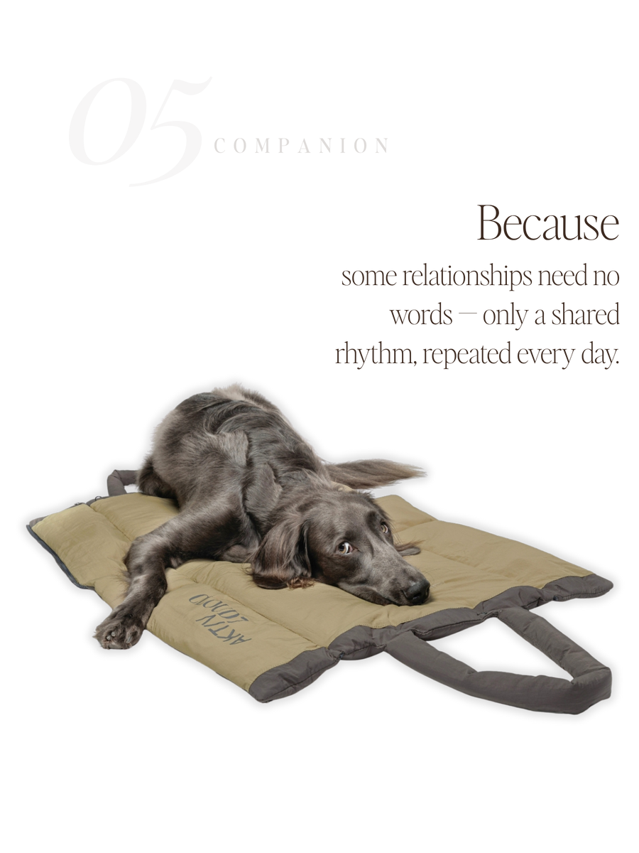 For Companions — No. 05