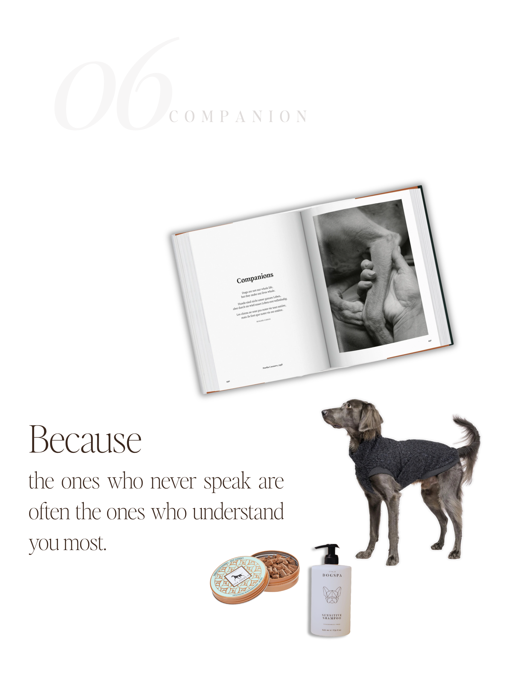 For Companions — No. 06
