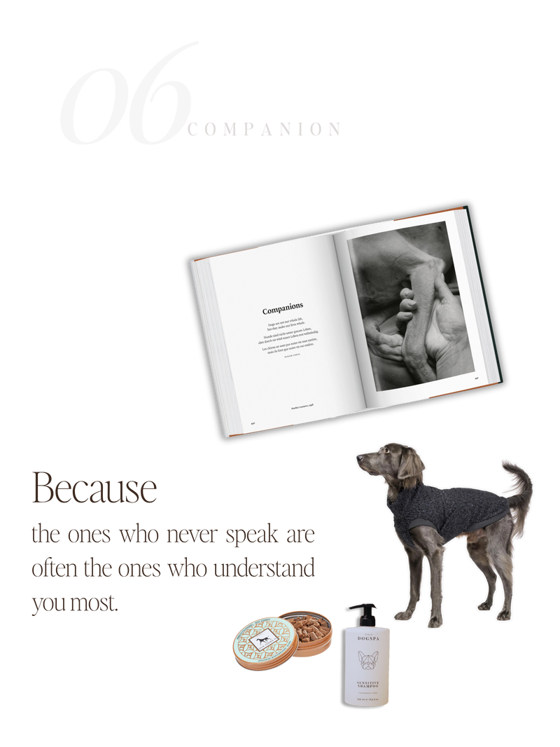 For Companions — No. 06